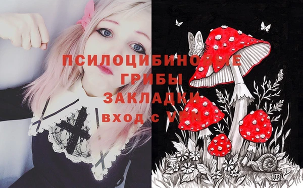 марки nbome Алексеевка