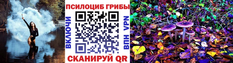 где продают наркотики  Советск  Псилоцибиновые грибы мицелий 